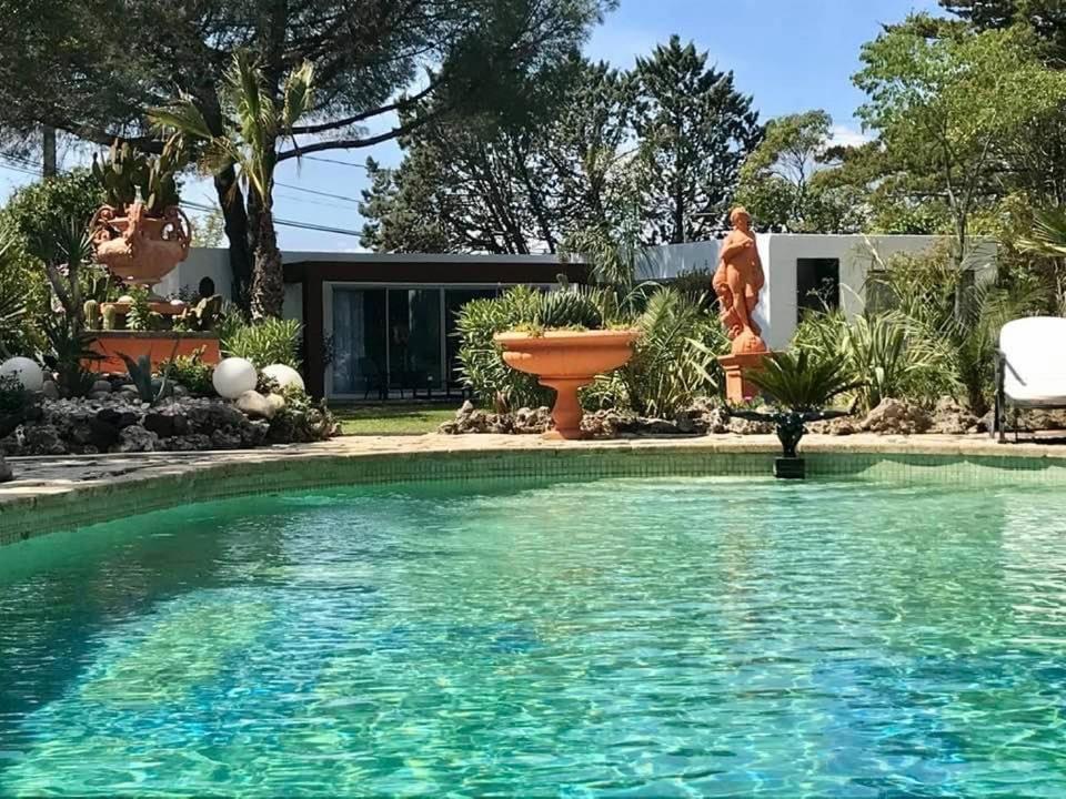 ベジエ La Cactee Singuliere Bed & Breakfast エクステリア 写真
